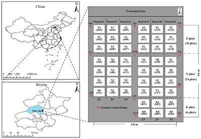 Estimation of potato leaf area index based on spectral information and Haralick textures from UAV hyperspectral images